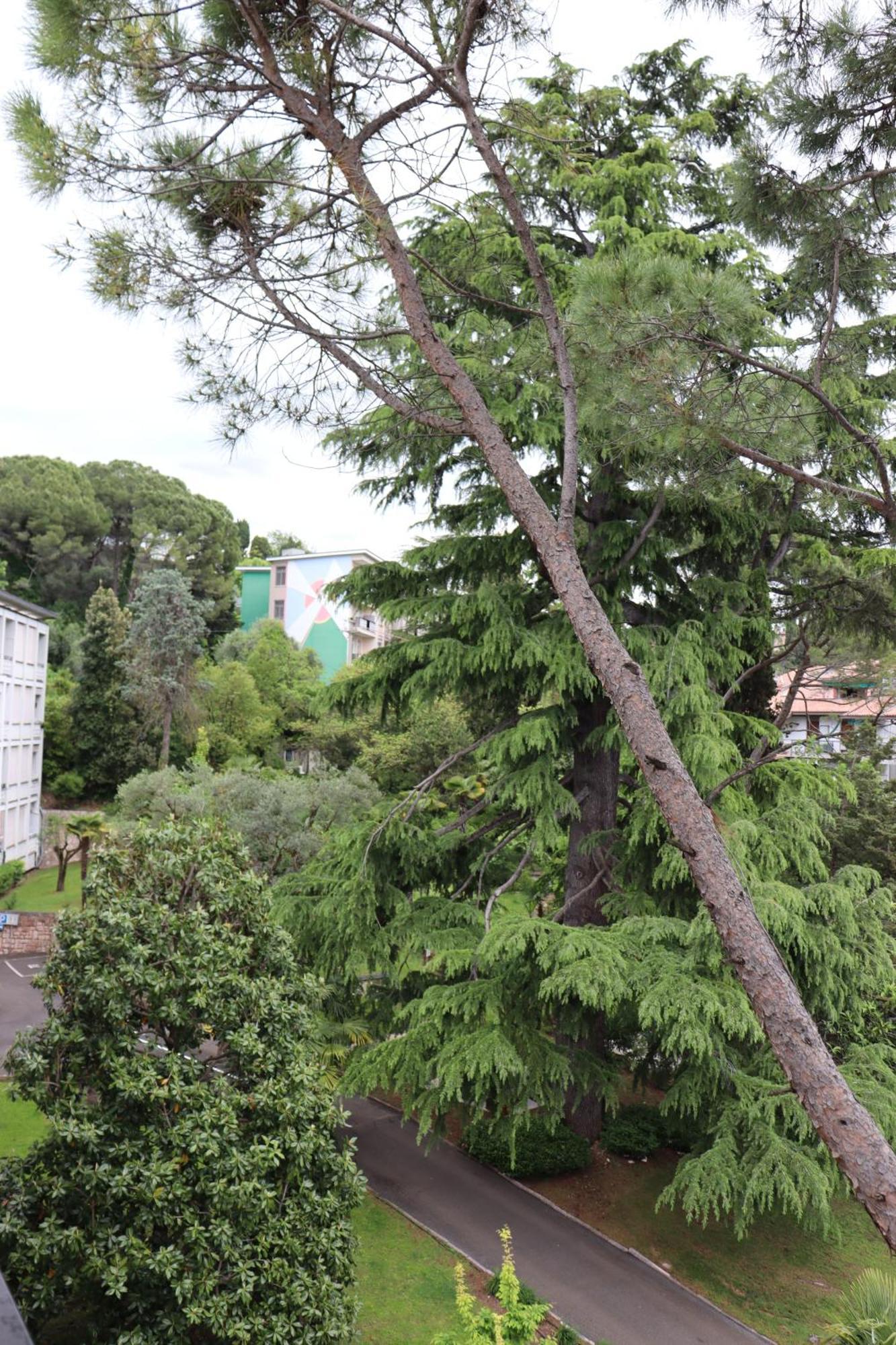 Apartment Monika 321 Beautiful Garda (Verona)